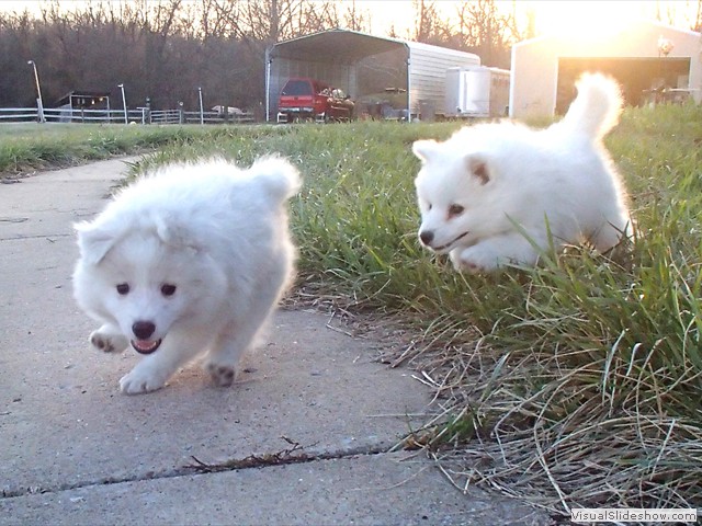 boy(left)-girl(right)-2