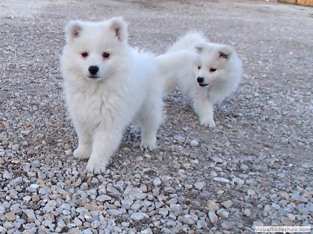 girl(right)-boy(left)